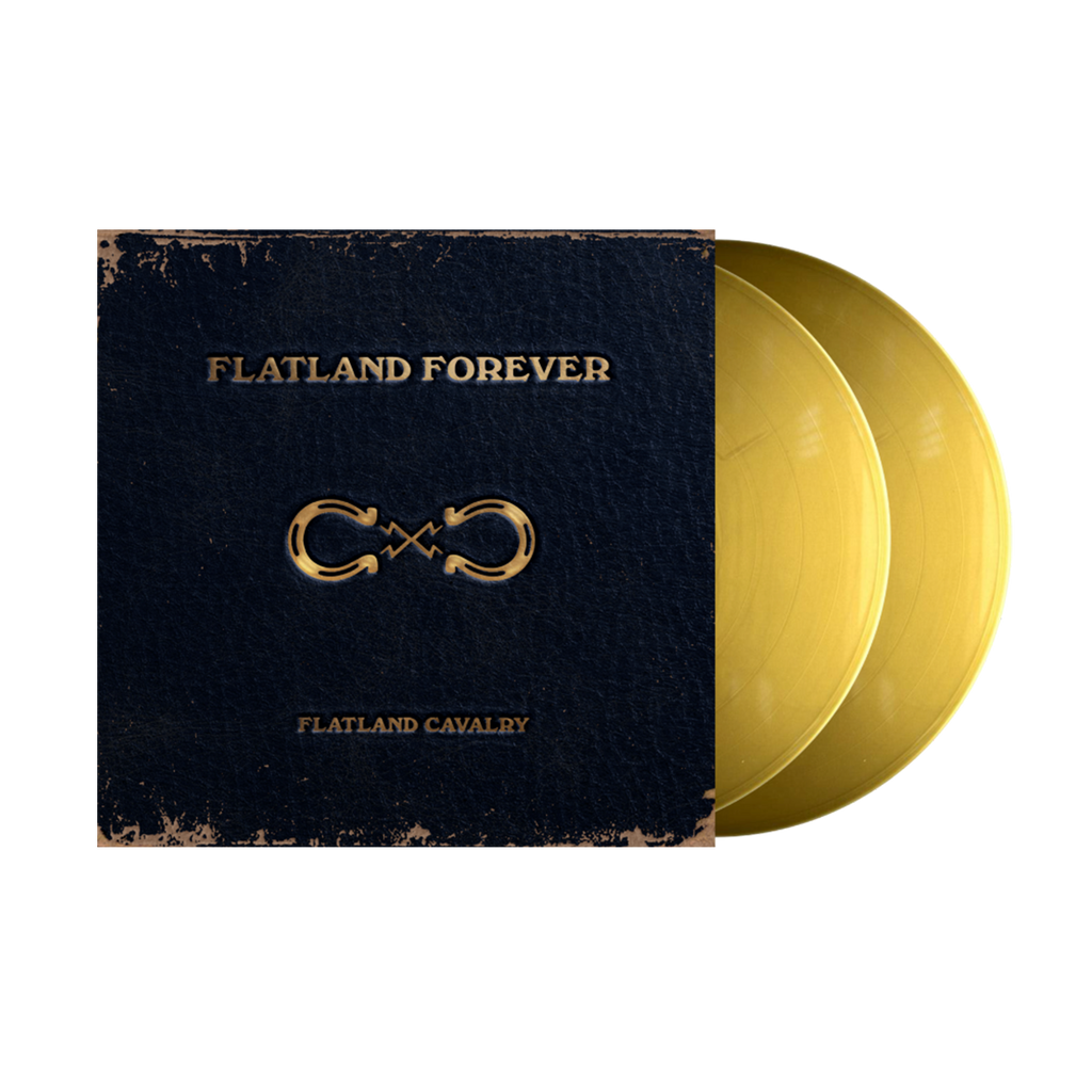 Gold vinyl record album.