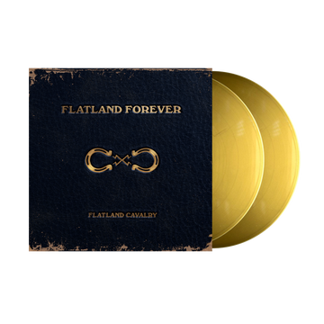 Gold vinyl record album.