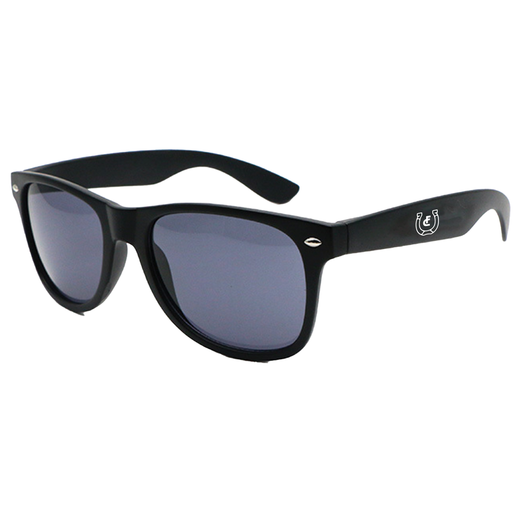 Black wayfarer-style sunglasses with dark lenses and a small logo on the temple.