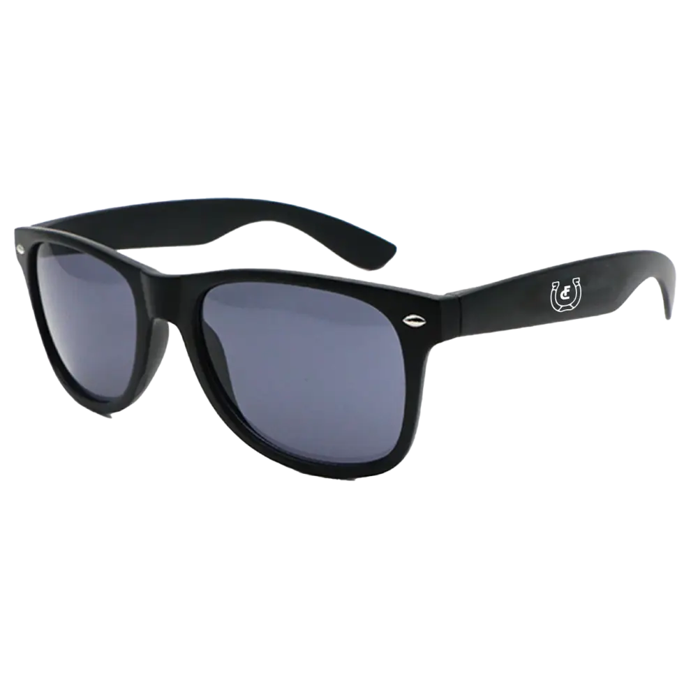 Black wayfarer-style sunglasses with dark lenses and a small logo on the temple.